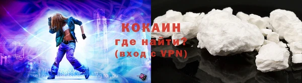 индика Иннополис