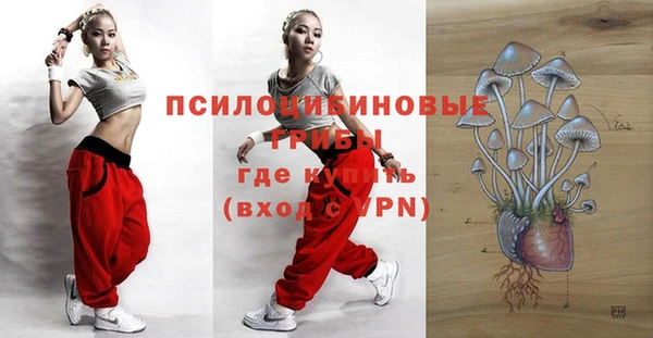 индика Иннополис
