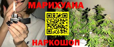 спиды Дубна