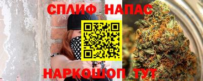 спиды Дубна