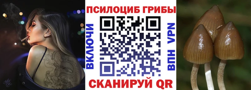 купить наркоту  маркетплейс наркотические препараты  Галлюциногенные грибы Magic Shrooms  Мурманск 