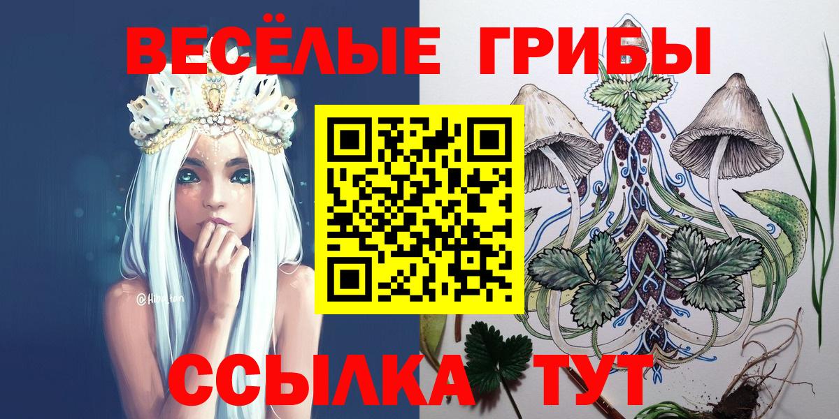 Псилоцибиновые грибы Magic Shrooms  Вход с VPN  наркота  Псилоцибиновые грибы Magic Shrooms  Мурманск 