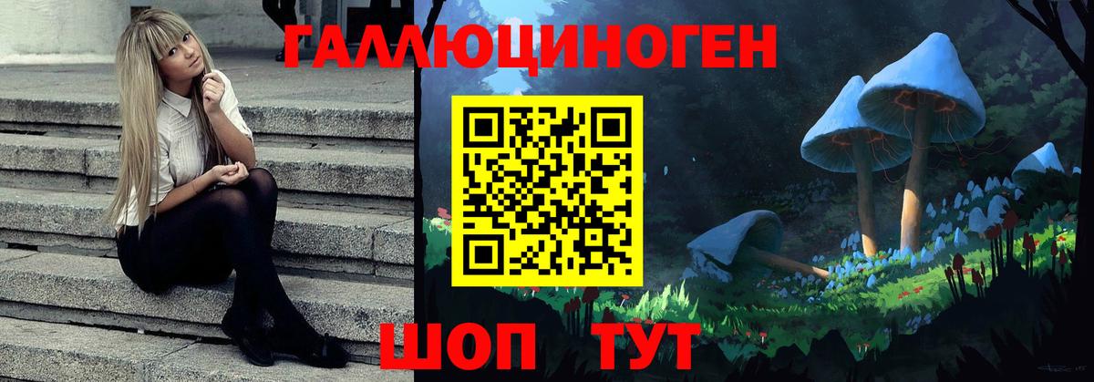 Псилоцибиновые грибы Cubensis Мурманск