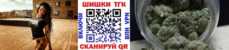 как найти закладки  Мурманск  Канабис сатива 